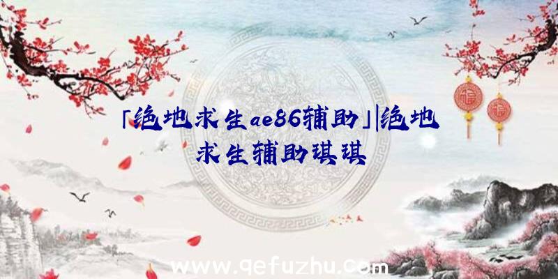 「绝地求生ae86辅助」|绝地求生辅助琪琪